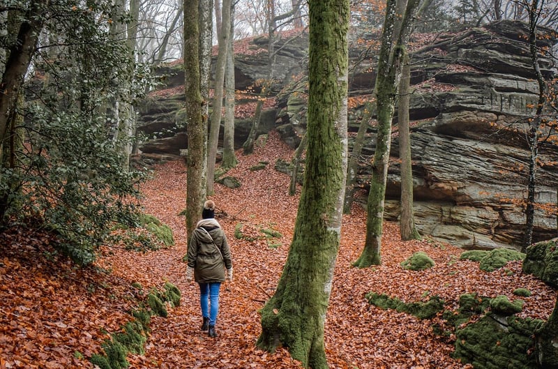 Guided Nature Walks